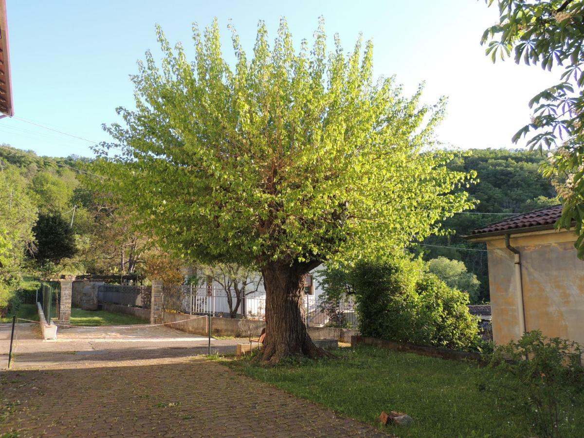 La Casa Di Nonna Bruna Múggia Eksteriør billede