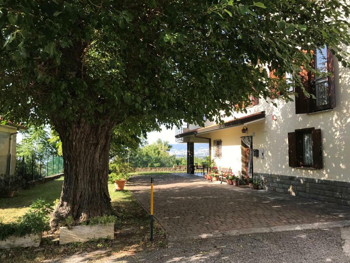 La Casa Di Nonna Bruna Múggia Eksteriør billede